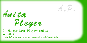 anita pleyer business card